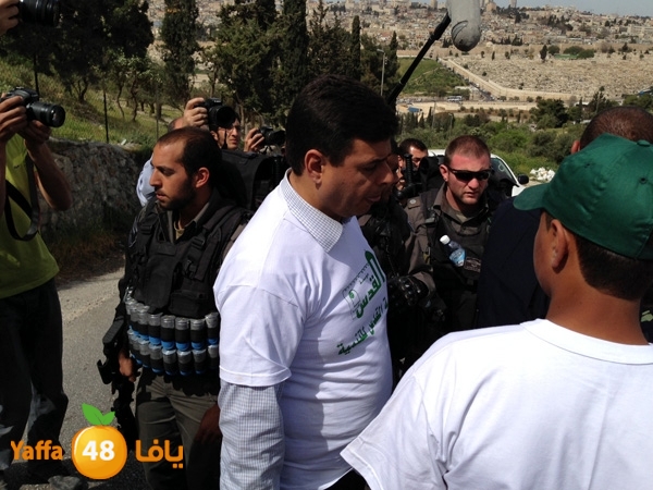 qudszra3aztoon330 (7).JPG